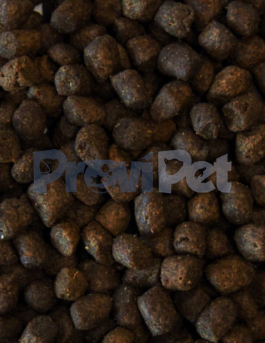 Adulto Raza Chica Adulto Raza Chica