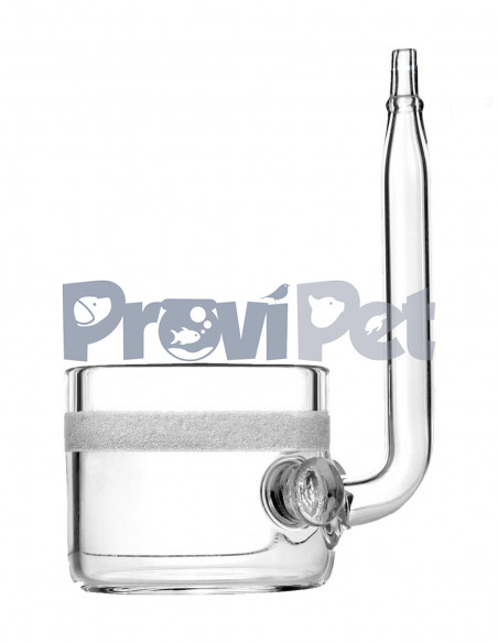 Glass Beetle Diffuser