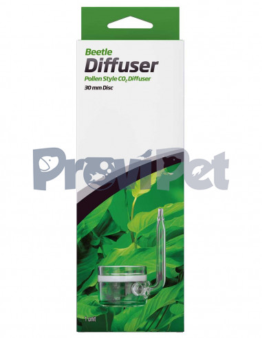 Glass Beetle Diffuser