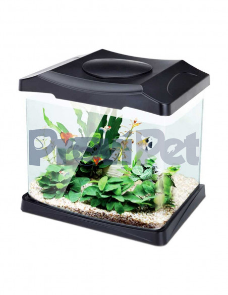 Acuario Mia Led