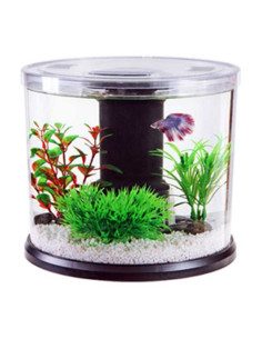 Mini Acuario De Escritorio 2