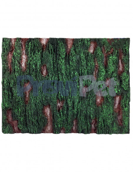 Respaldo Tridimensional De Resina