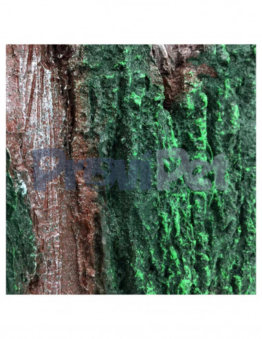 Respaldo Tridimensional De Resina