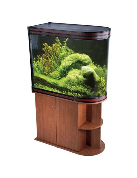 Gabinete Clasico