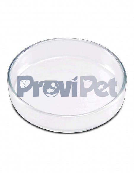 Plato Para Camarones y Peces