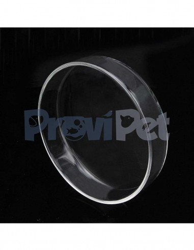 Plato Para Camarones y Peces