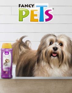 Shampoo Expert Pelo Largo 2