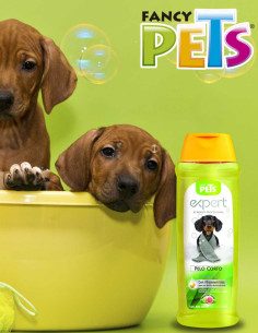 Shampoo Expert Pelo Corto 2