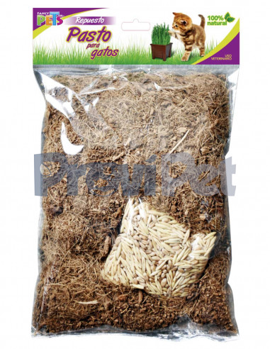 Repuesto De Pasto Para Gatos (Semillas y Sustrato) 