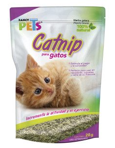 Catnip Para Gatos 2