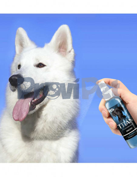 Colonia Para Perro Macho Titan