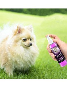 Colonia Para Perro Hembra Lovely 2