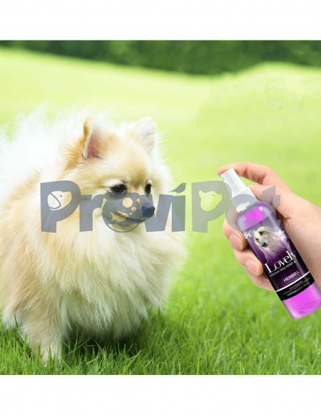 Colonia Para Perro Hembra Lovely