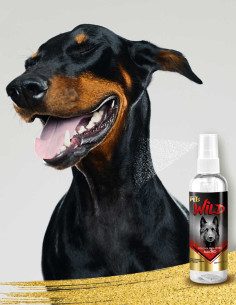 Colonia Para Perro Macho Wild 2