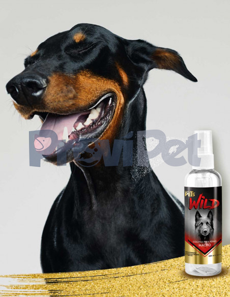 Colonia Para Perro Macho Wild