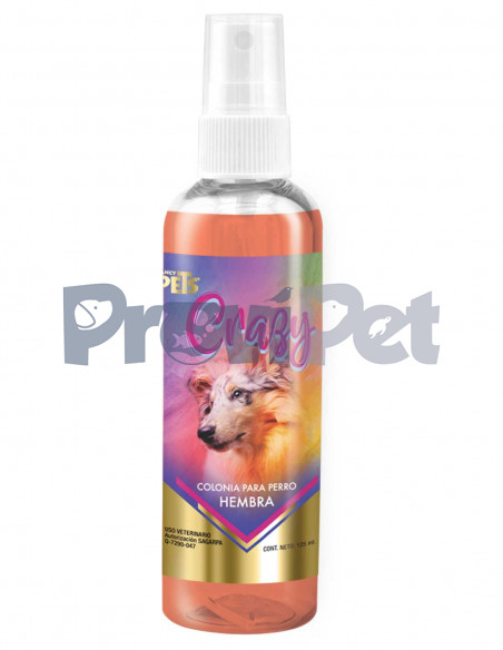 Colonia Para Perro Hembra Crazy
