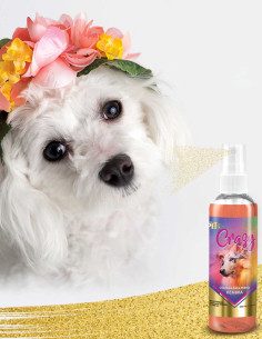 Colonia Para Perro Hembra Crazy 2