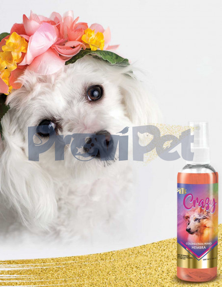Colonia Para Perro Hembra Crazy