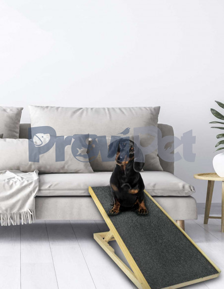 Rampa Para Mascotas
