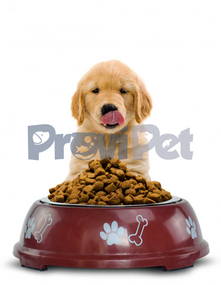 Plato De Acero Con Base Decorada