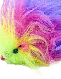Raton Arcoiris 2