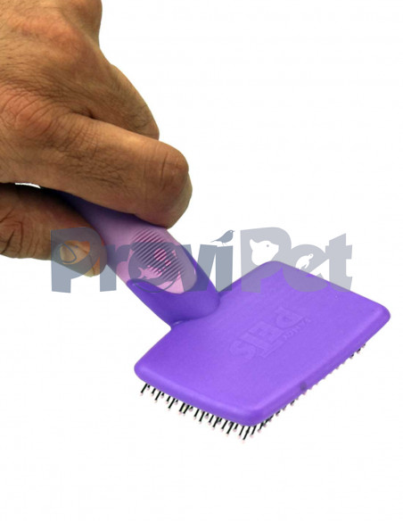 Cepillo Con Puntas Redondeadas Cepillo Con Puntas Redondeadas