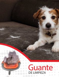 Guante De Limpieza 2