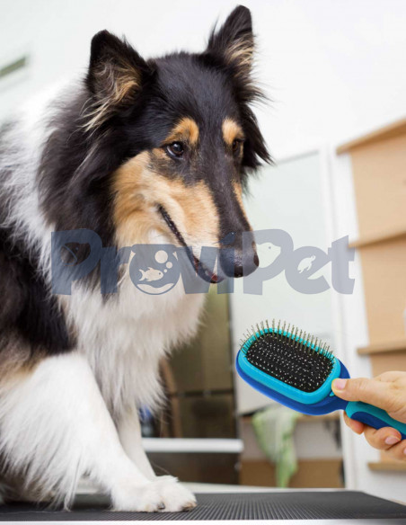 Cepillo Multifuncional 5 En 1