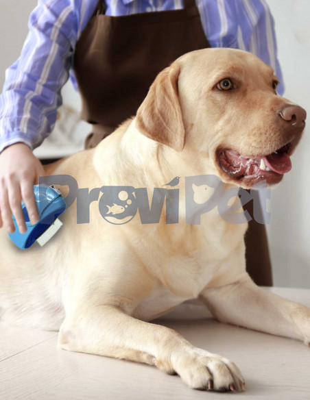 Peine Giratorio 3 En 1