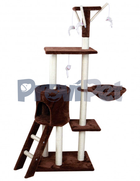 Casa Con Hamaca Y Escalera