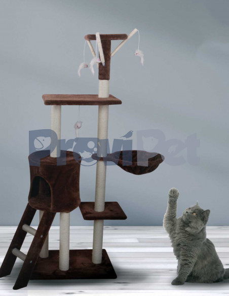 Casa Con Hamaca Y Escalera