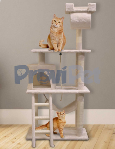 Casa Con Tunel Y Mecedora