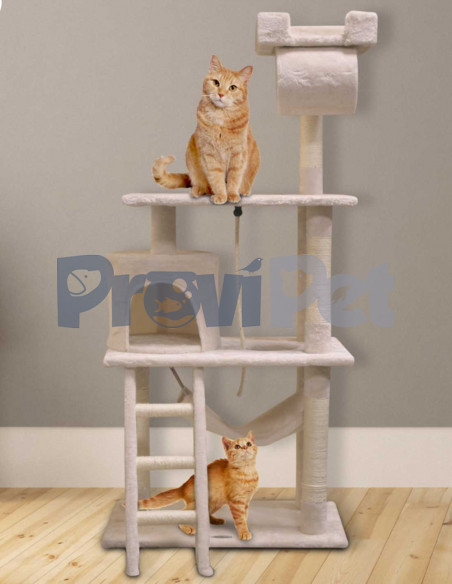 Casa Con Tunel Y Mecedora