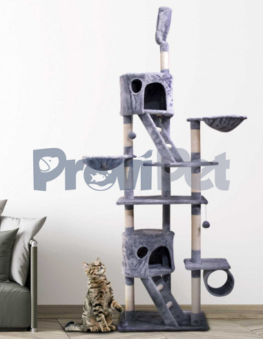 Casas Con Tunel, Hamaca y Escaleras