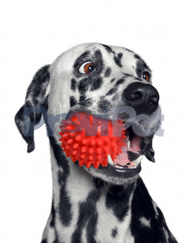 Pelota De Caucho Spiny