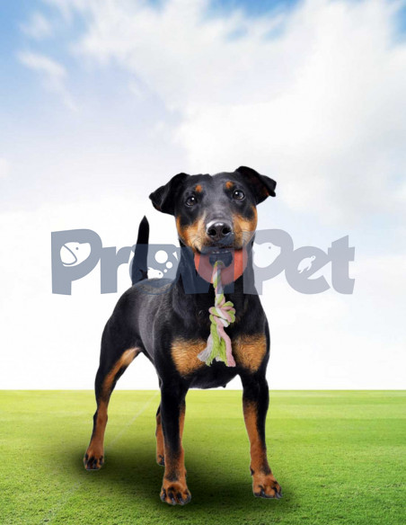 Cuerda Con Aro De Caucho