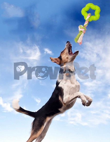 Cuerda Con Estrella De Caucho