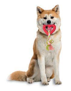 Cuerda Con Corazon De Caucho 2