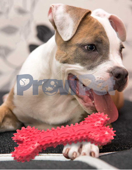 Hueso De Caucho Para Premio