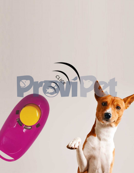 Clicker Para Entrenamiento