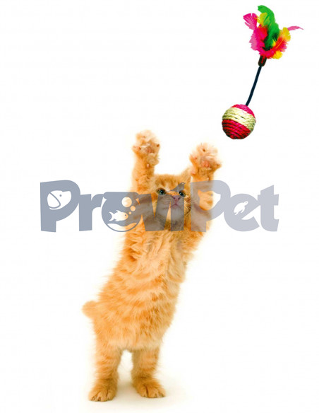 Caja De Juguetes Para Gato Caja De Juguetes Para Gato