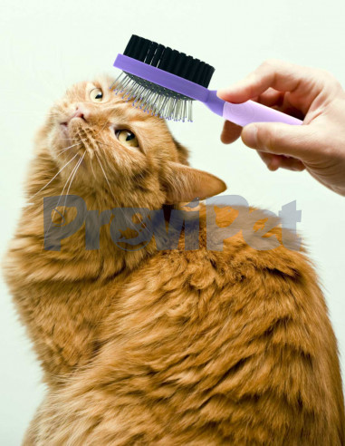 Cepillo Doble Expert