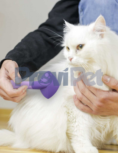 Carda Para Gatos Expert