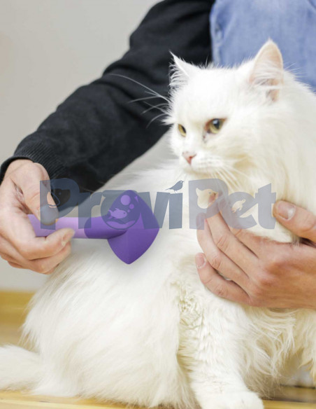 Carda Para Gatos Expert