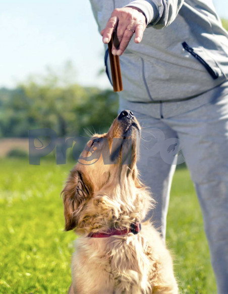 Yummy Sticks Sabor Carne