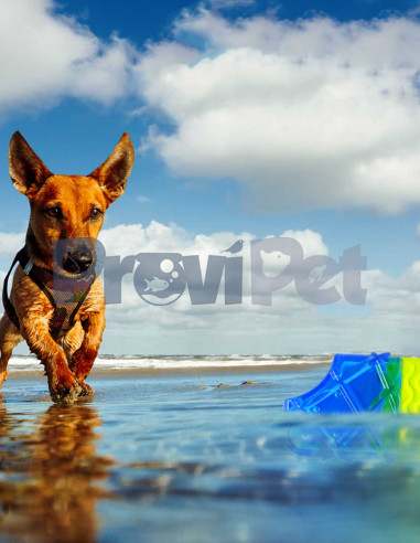 Paleta Congelable Cool