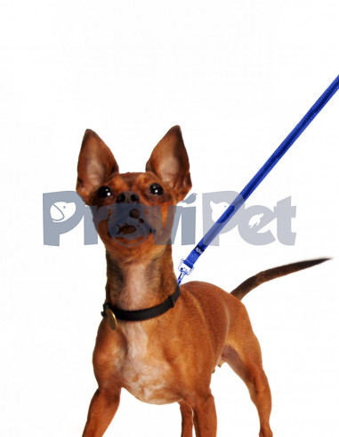 Correa Azul Con Banda Reflejantes