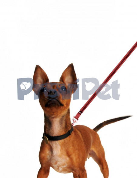 Correa Roja Con Banda Reflejantes