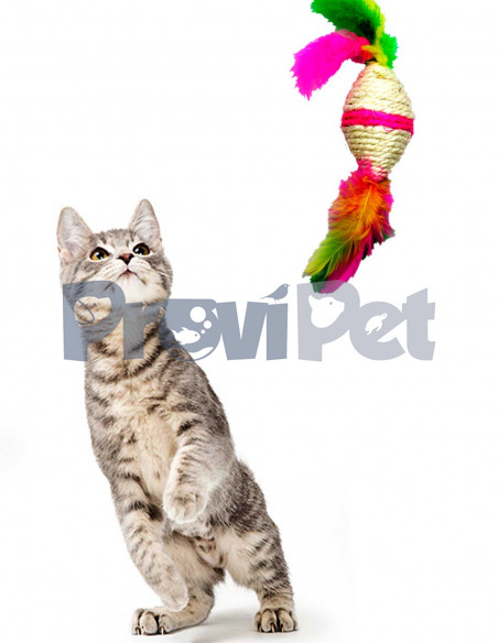 Caramelo Con Plumas Caramelo Con Plumas