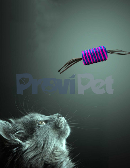 Cilindro Con Lienzos